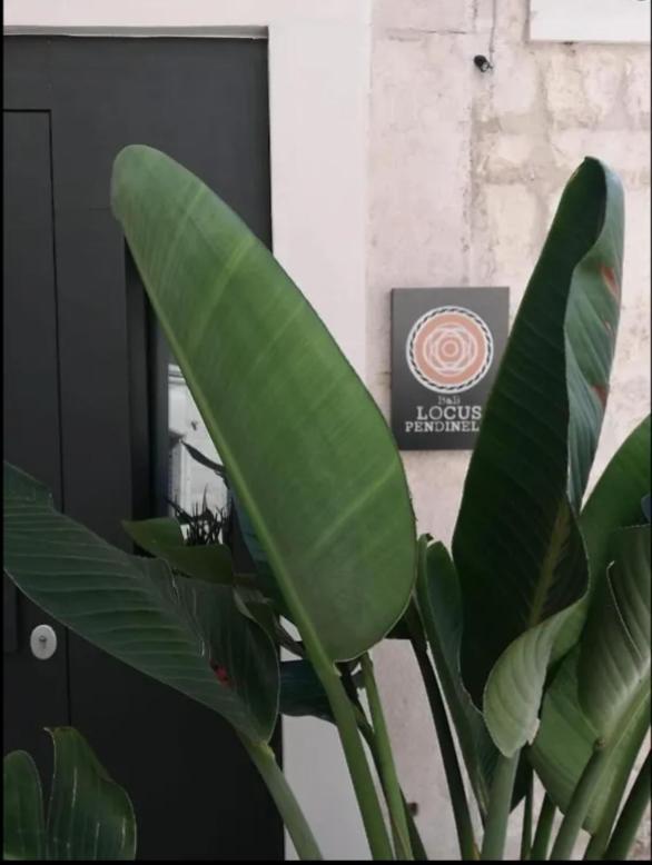 Locus Pendinelli Trani Bed & Breakfast Eksteriør bilde